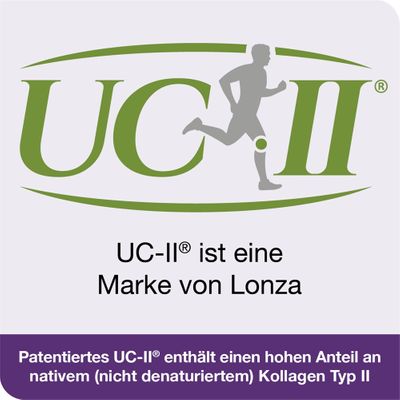 Gélules UNIMEDICA KNORPEL 120 - Pour Articulations, Validité 07/2026 - Cure Complète