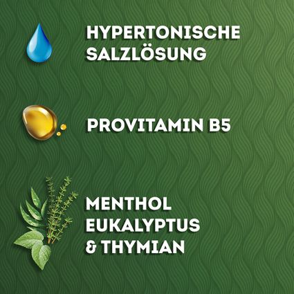 Spray Nasal Abtei Nase Frei - Descongestionante Natural Con Agua De Mar Y Aceites Esenciales | 20 Ml