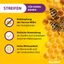 Varroamilbe: Erkennen, Bekämpfen & Bienen schützen Varroamilbe: Erkennen, Bekämpfen & Bienen schützen