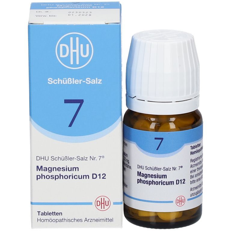 Schüßler-Salze. Das Basisbuch Günther H. Heepen