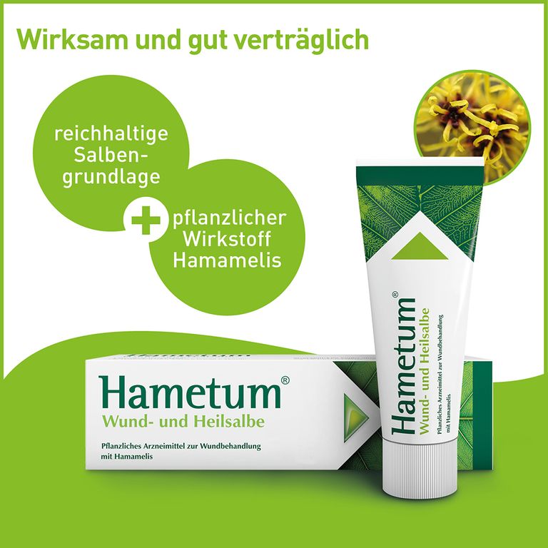 Unterschied Hametum Hämorrhoiden Salbe Wund Und Heilsalbe Hametum® Wund- und Heilsalbe 50 g - Shop Apotheke
