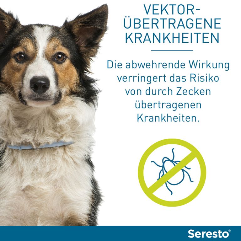 Seresto Halsband F R Kleine Hunde Bis Kg St Shop Apotheke