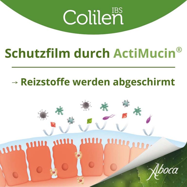 Colilen IBS: Sanfte Unterstützung bei Reizdarm & Bauchschmerzen 96 St ...