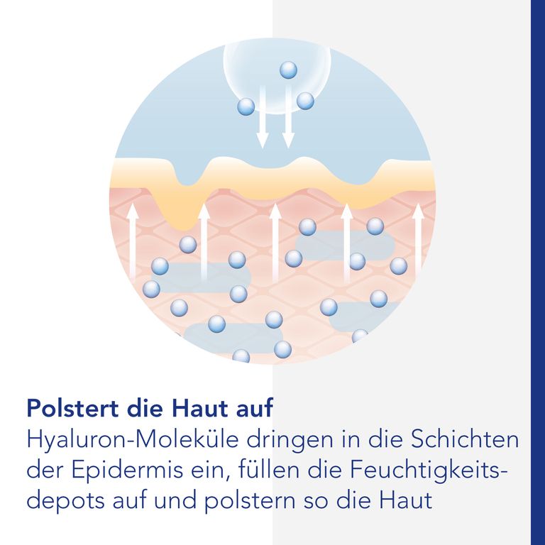 Viscontour® Serum Ultra 20 Ampullen mit Tiefen-Hyaluron 20x1 ml - Shop ...