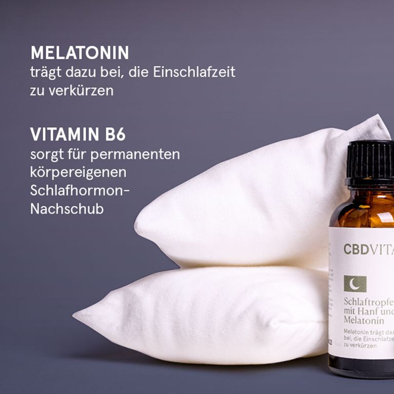 CBD VITAL Schlaftropfen Mit Hanf Und Melatonin 30 Ml - Shop Apotheke