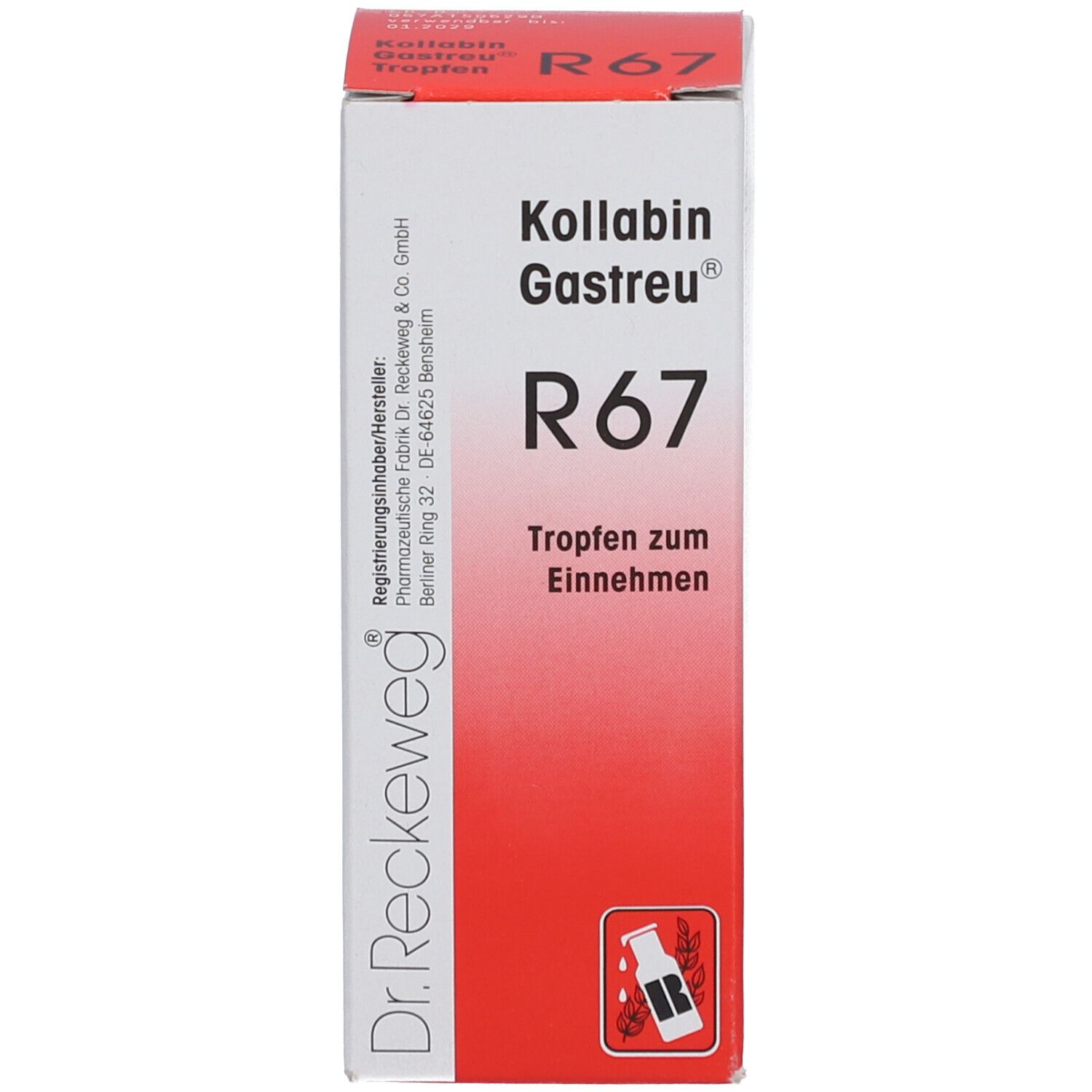 Weiße Schachtel mit roter Schrift. Produktname und Logo. Tropfen zum Einnehmen. Dr. Reckeweg.