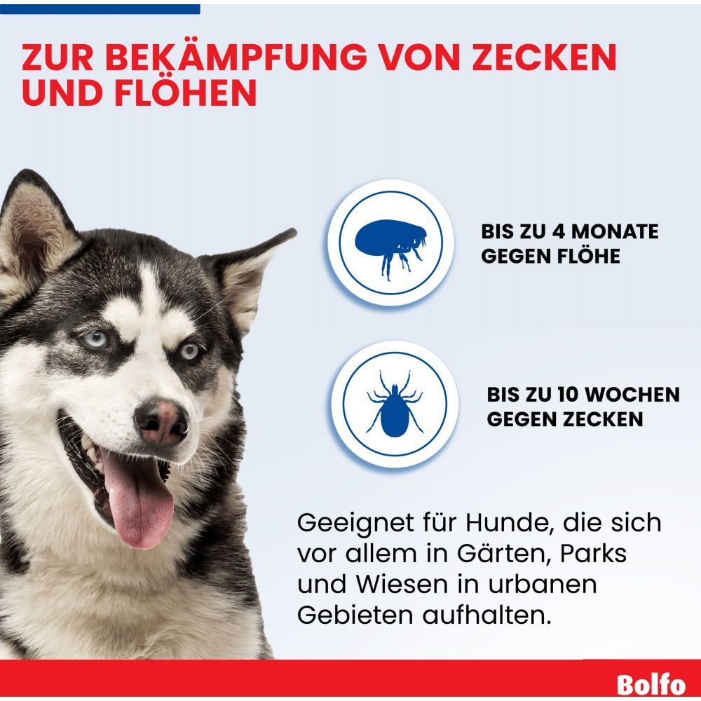 Bolfo® Zecken- und Flohschutzband braun für große Hunde