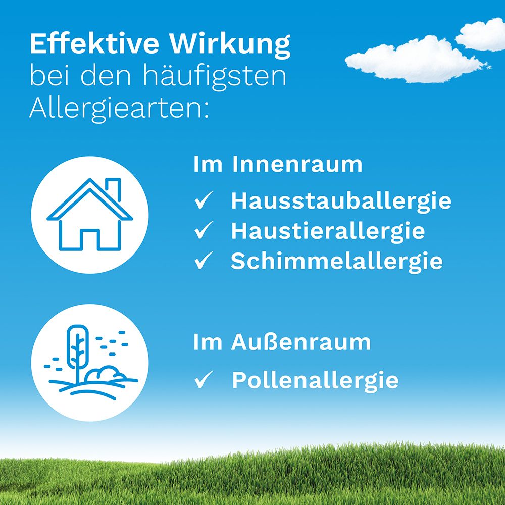 Grafik mit Symbolen für Allergieauslöser: Hausstaub, Haustiere, Schimmel, Pollen. Text.