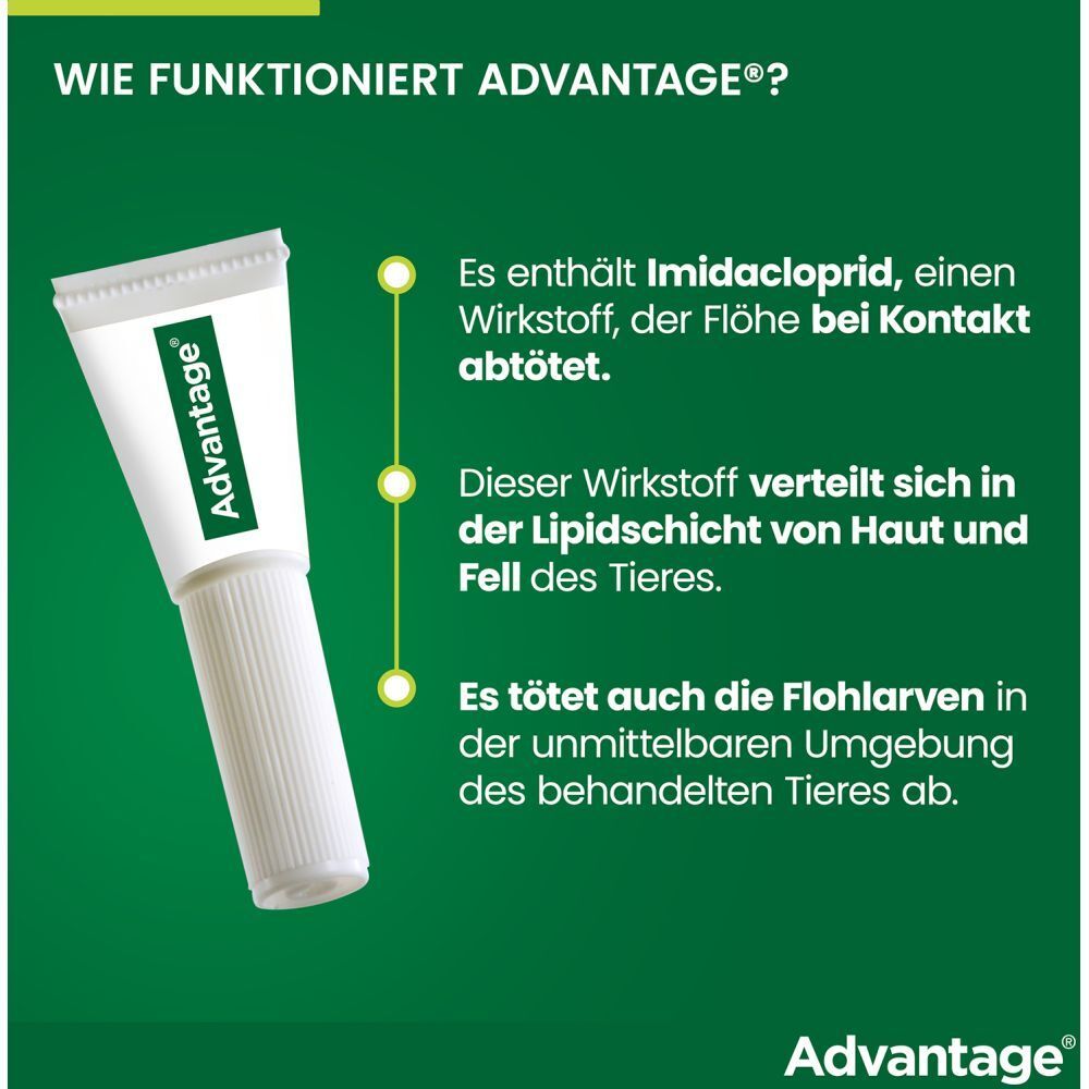 Wie Advantage® funktioniert? Text und Abbildung einer Pipette. Enthält Imidacloprid, tötet Flöhe bei Kontakt.