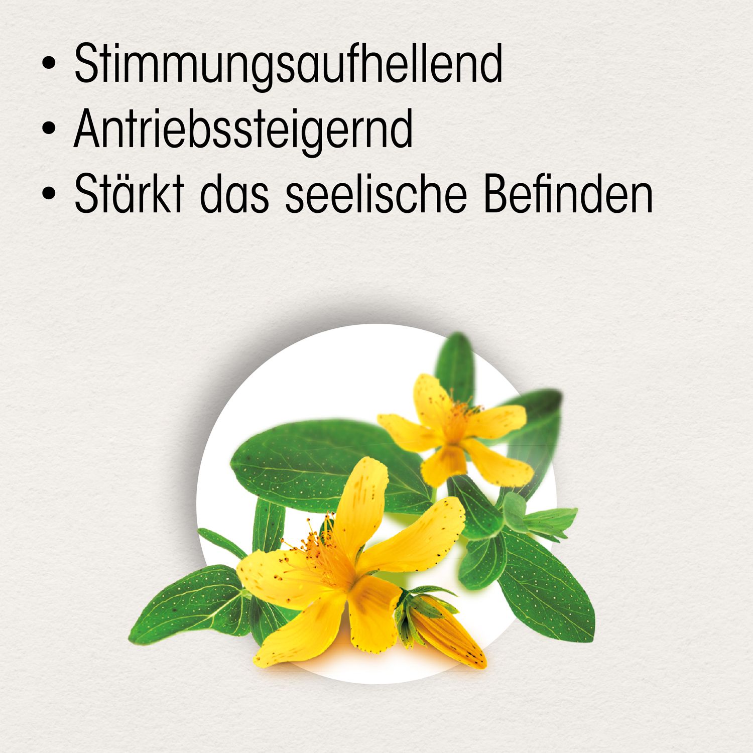Grafik mit gelben Blüten und Blättern. Text: Stimmungsaufhellend, Antriebssteigernd, Stärkt das seelische Befinden.