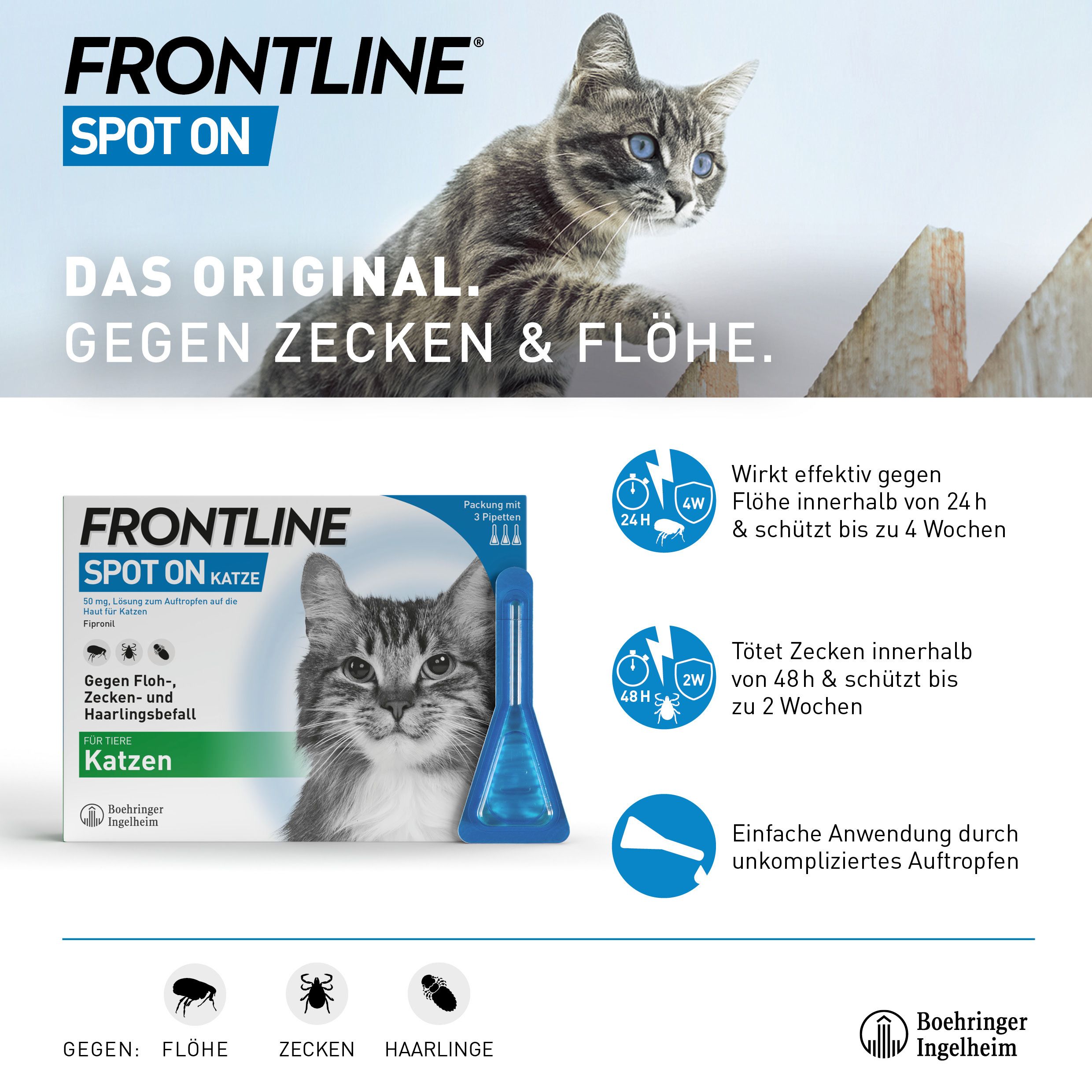 FRONTLINE Spot on gegen Zecken und Flöhe Katze 6 St shopapotheke.at