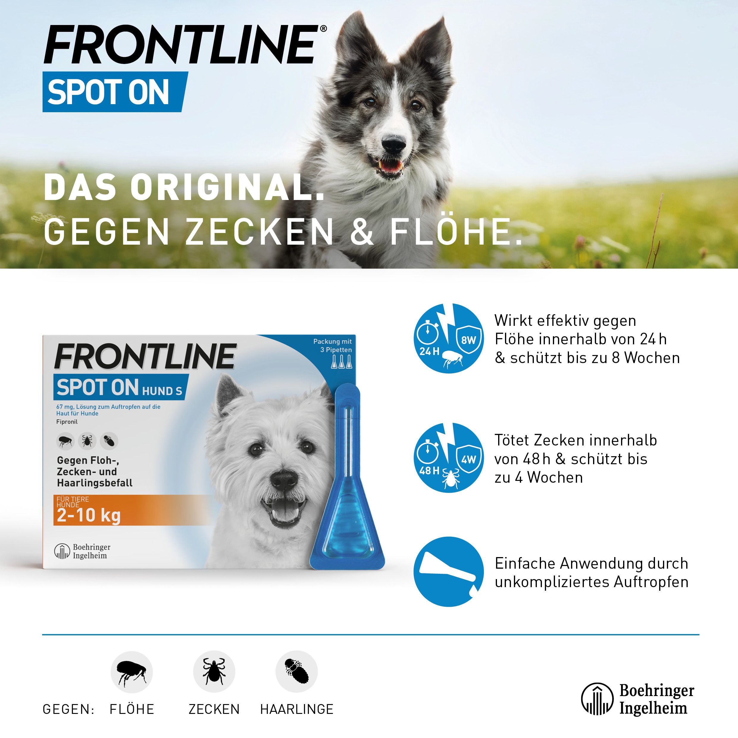 FRONTLINE Spot on gegen Zecken und Flöhe Hund L 20-40kg