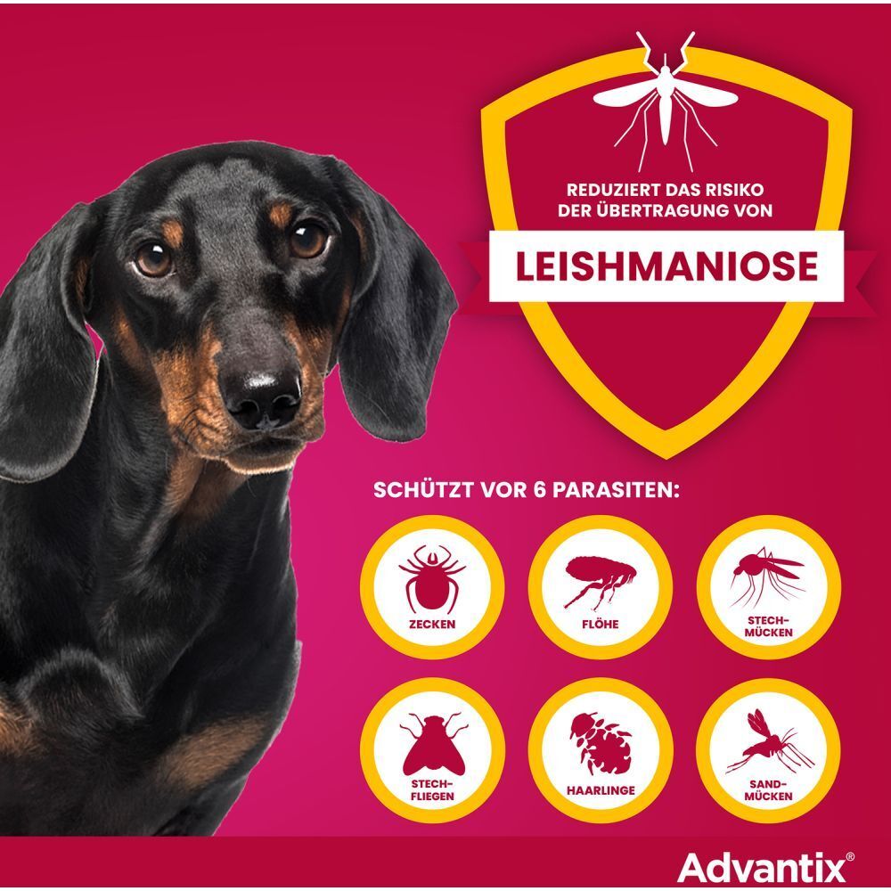 Rote Grafik mit Hund und Text: Reduziert das Risiko von Leishmaniose. Schützt vor 6 Parasiten: Zecken, Flöhe, Stechmücken, etc. Advantix® Logo.
