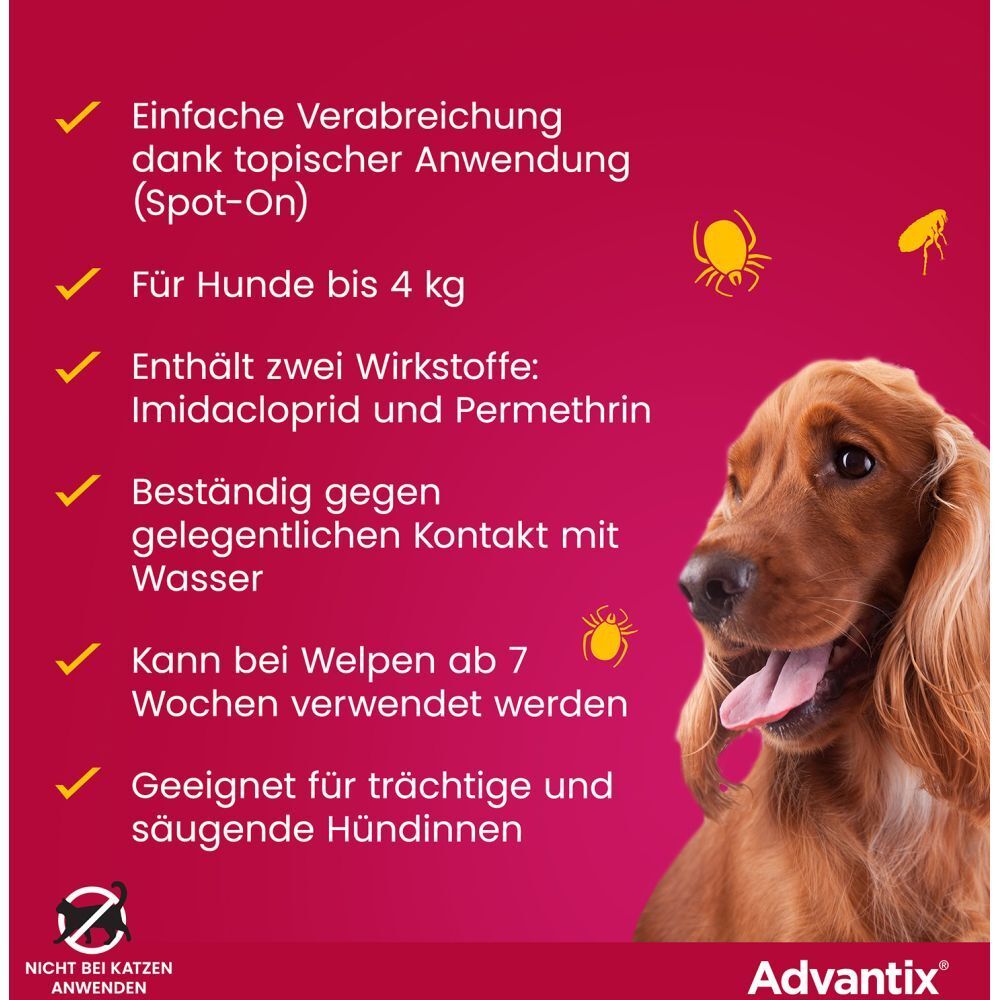 Rote Grafik mit Hund und Text: Einfache Anwendung. Für Hunde bis 4 kg. Enthält Imidacloprid und Permethrin. Geeignet für trächtige Hündinnen.