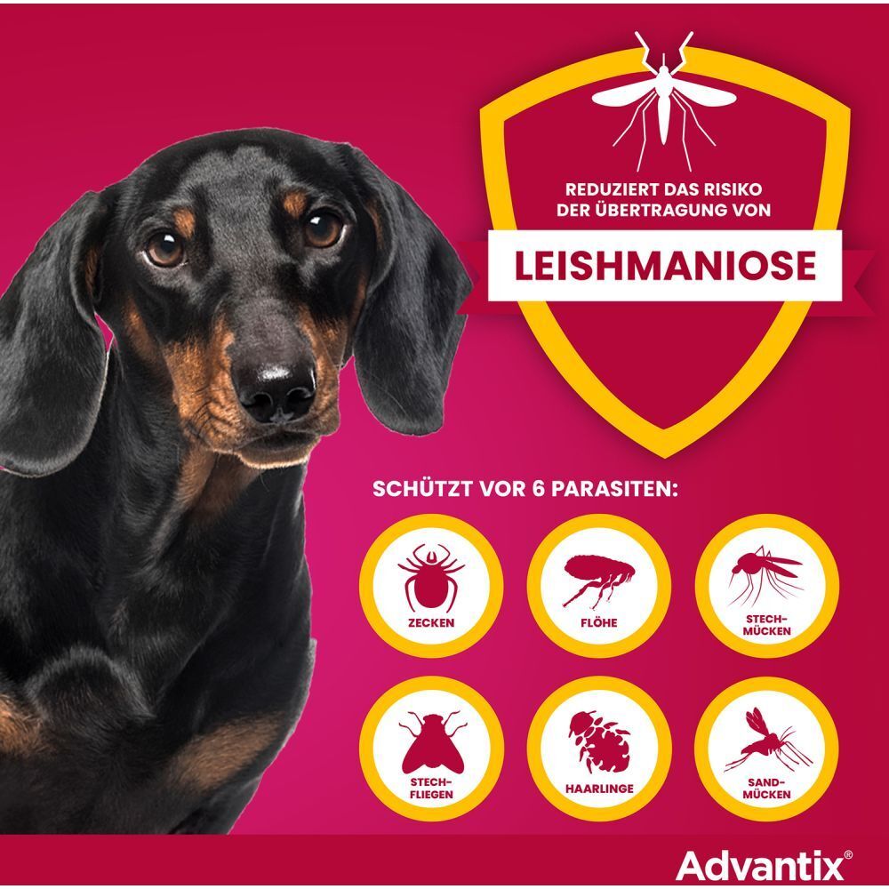 Advantix®-Werbung: Schützt vor 6 Parasiten und reduziert Leishmaniose-Risiko. Schwarzer Hund auf rotem Hintergrund.