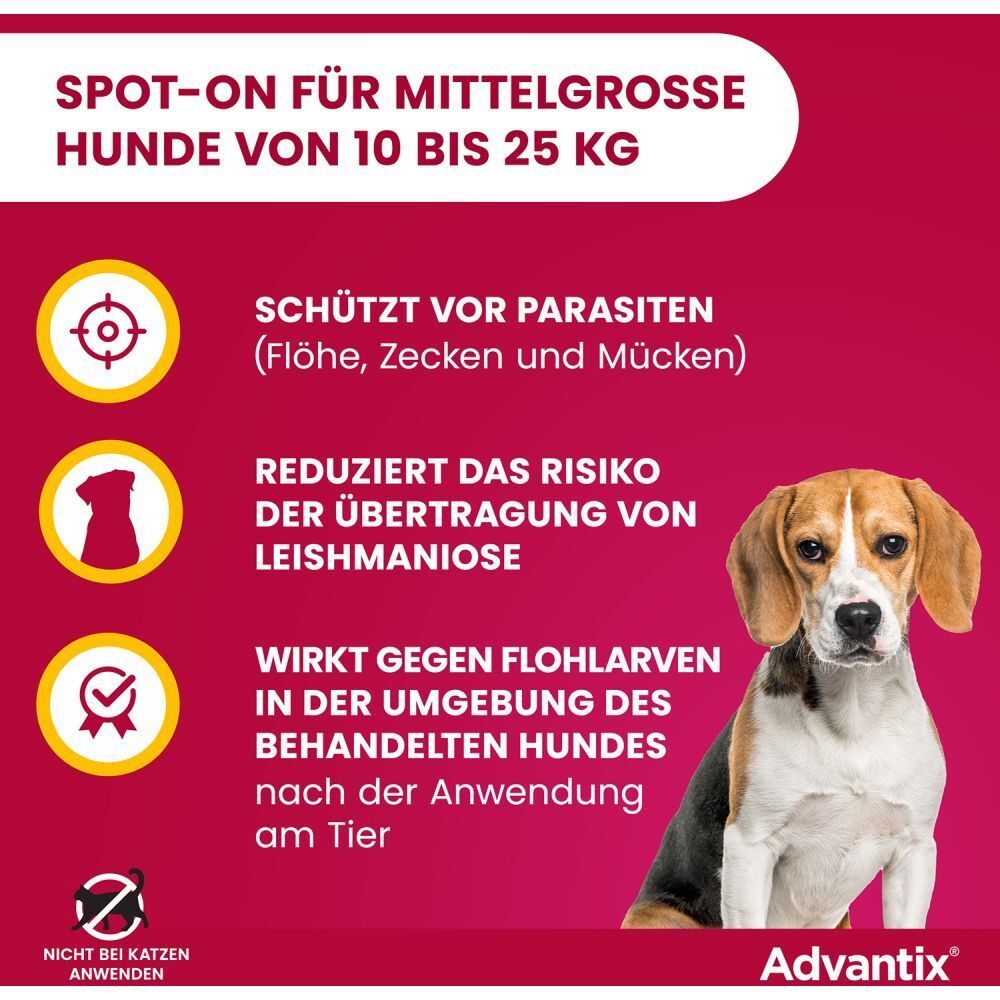Advantix®-Werbung. Text: Schützt vor Parasiten. Reduziert Leishmaniose-Risiko. Wirkt gegen Flohlarven. Hundefoto.