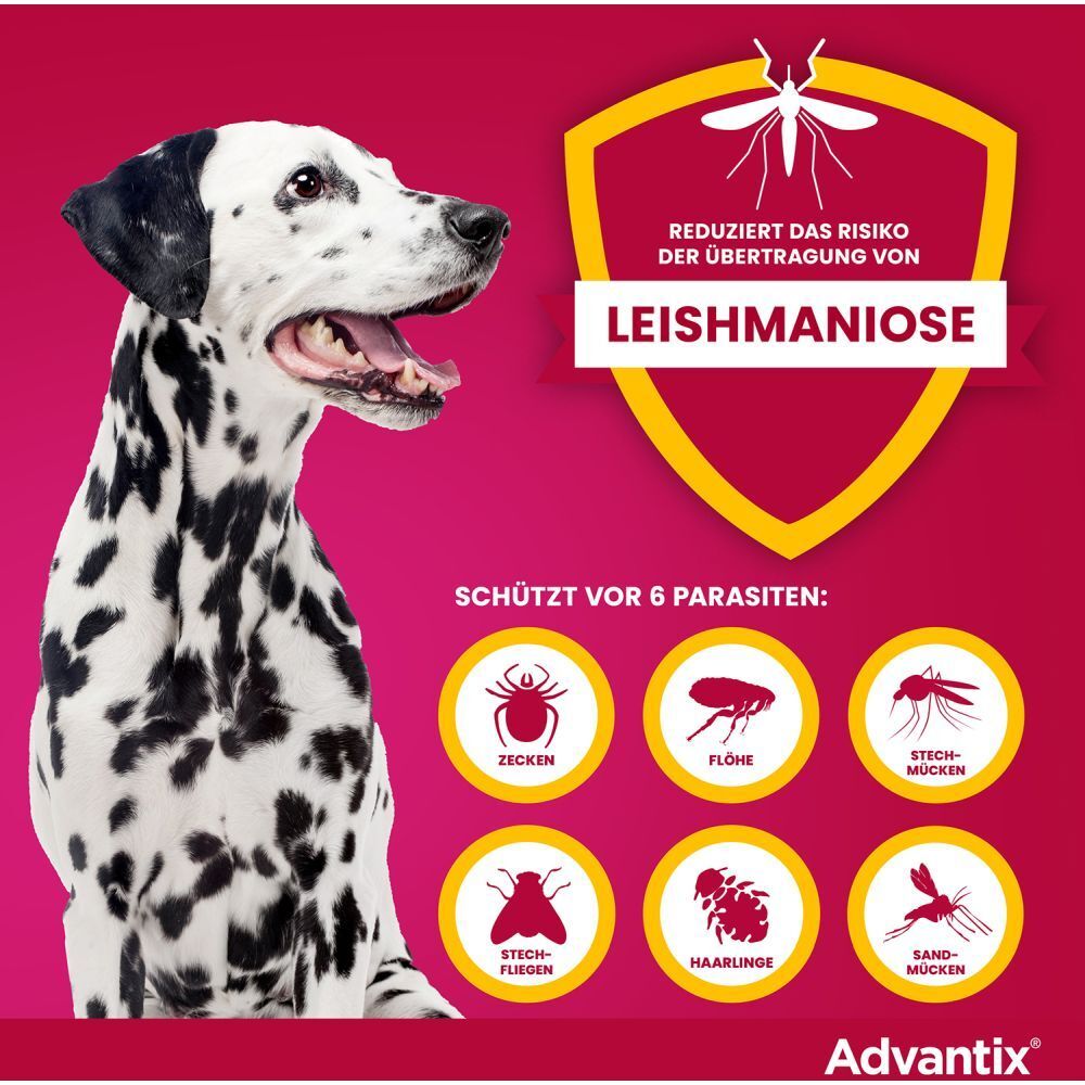 Advantix®-Werbung. Dalmatiner-Hund. Text: Schützt vor 6 Parasiten. Reduziert das Risiko von Leishmaniose.
