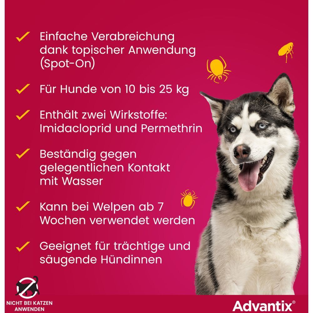 Advantix®-Werbung. Husky-Hund. Text: Einfache Anwendung, für Hunde 10-25 kg, enthält Wirkstoffe, wasserbeständig, für Welpen.