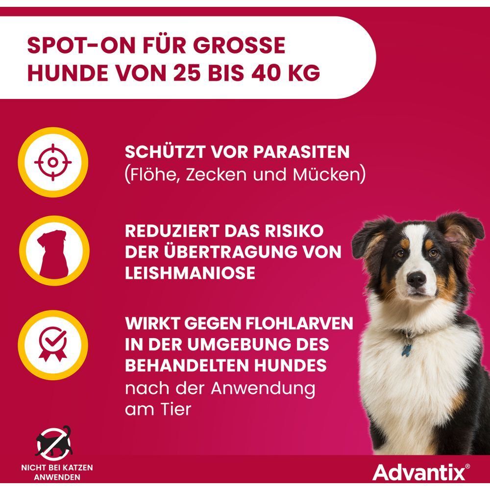 Advantix®-Werbung: Hund neben Text. Schützt vor Parasiten, reduziert Leishmaniose-Risiko, wirkt gegen Flohlarven. Nicht für Katzen.