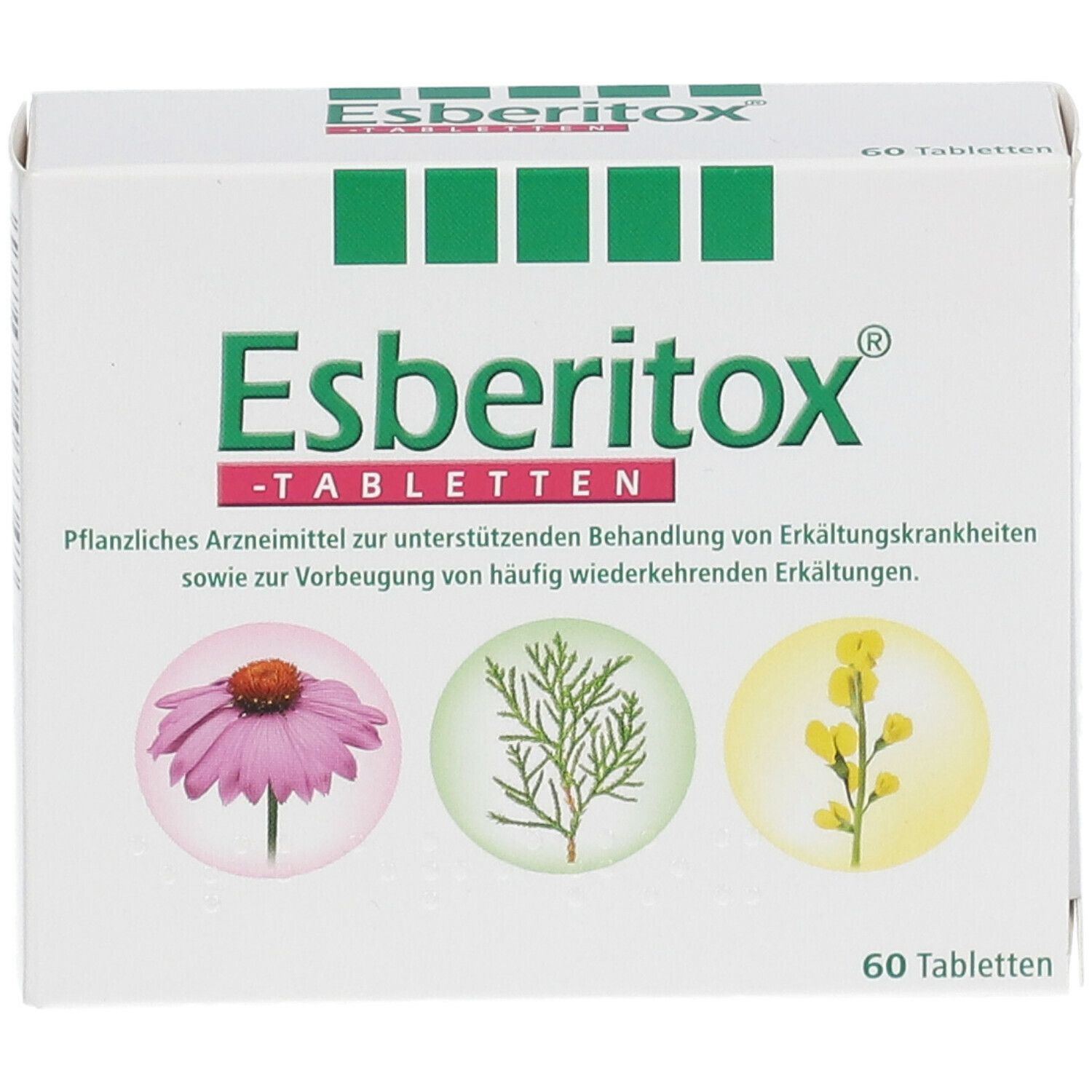 Weiße Schachtel Esberitox-Tabletten. Grün-rotes Logo, 60 Tabletten. Abbildung von Pflanzen.