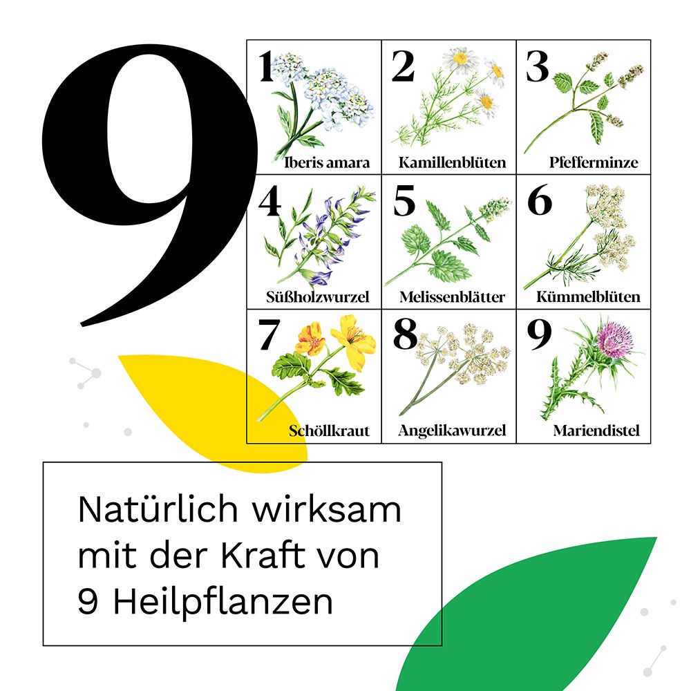 Illustration von 9 Heilpflanzen. Text: Natürlich wirksam mit der Kraft von 9 Heilpflanzen.