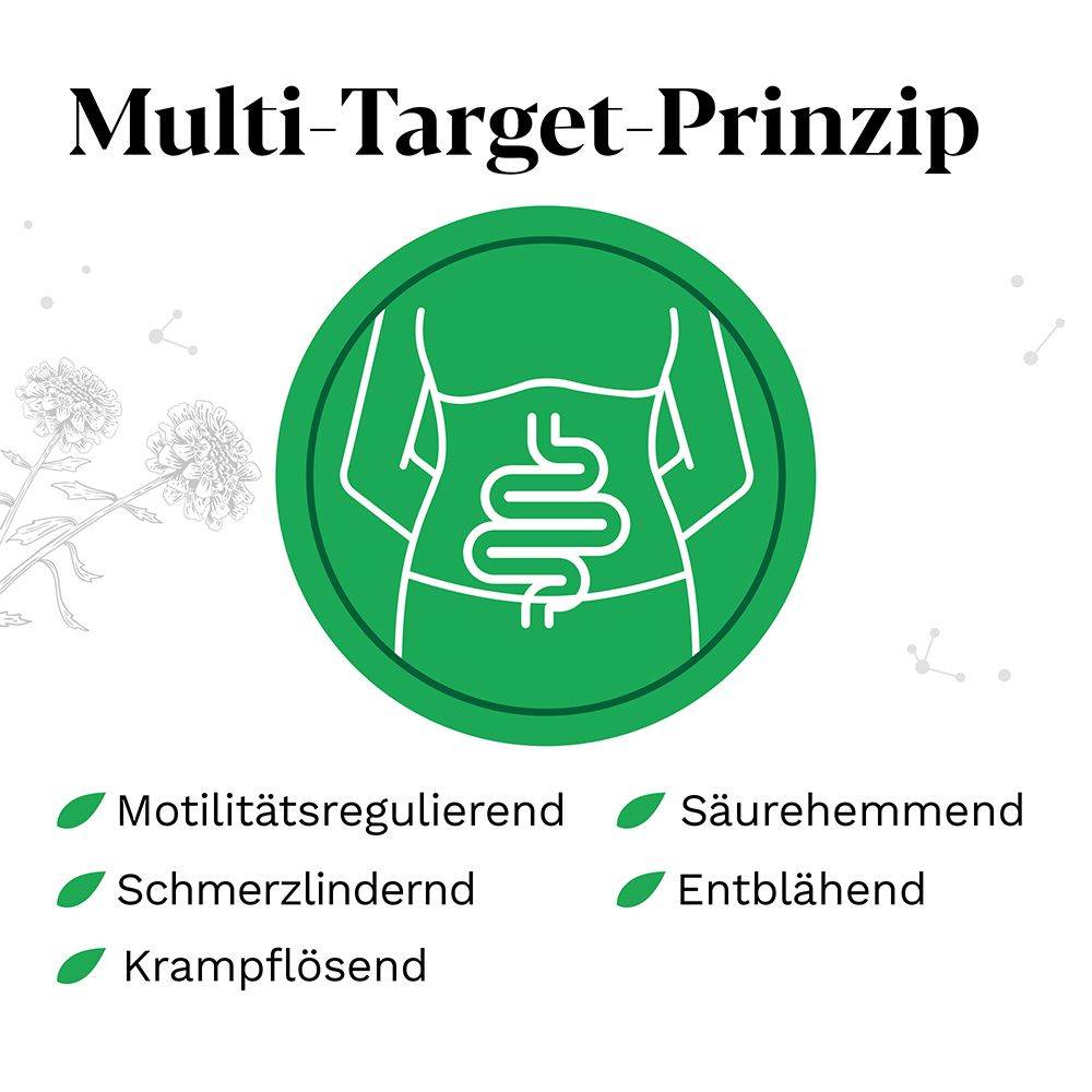 Grünes Kreissymbol mit Darm-Illustration. Text: Multi-Target-Prinzip. Wirkungen: motilitätsregulierend, etc.