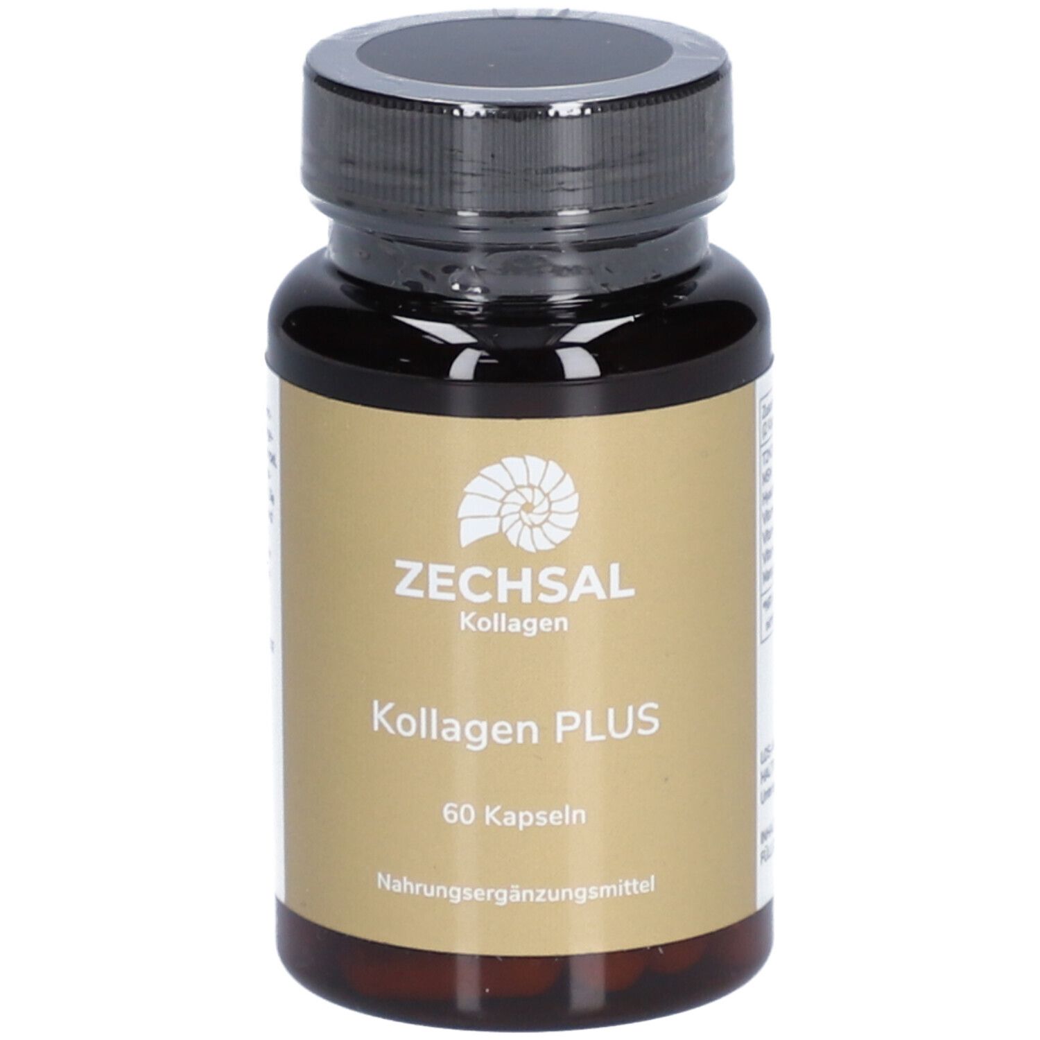 Braune Kapsel-Dose mit schwarzem Deckel. Aufschrift: ZECHSAL Kollagen PLUS, 60 Kapseln. Nahrungsergänzungsmittel.
