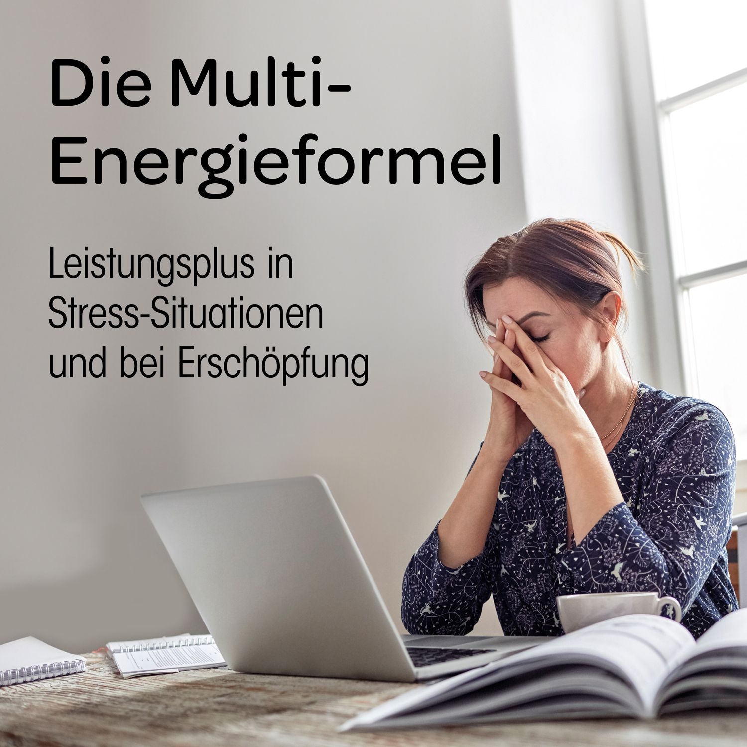 Frau am Laptop, Hände am Kopf. Text: Die Multi-Energieformel. Leistungsplus in Stress-Situationen und bei Erschöpfung.