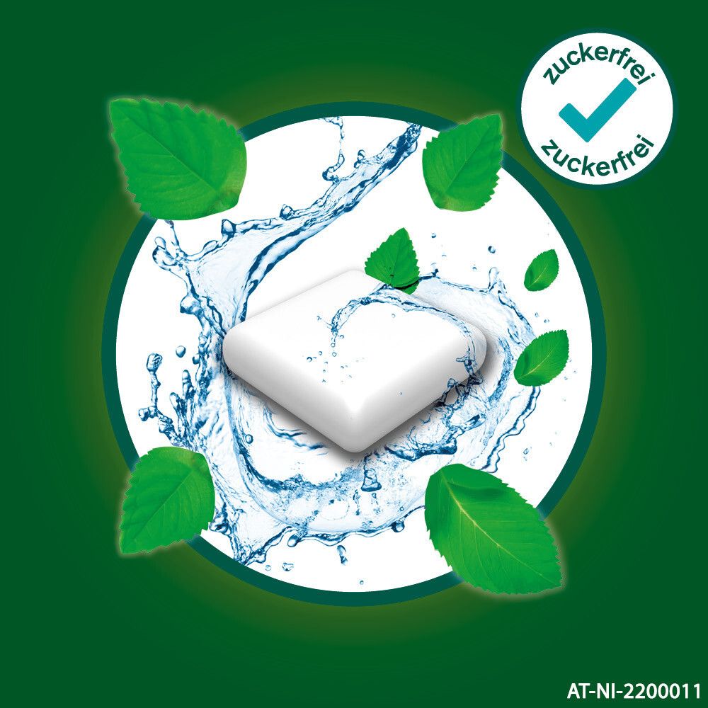 Kaugummi mit Wasser und Minzblättern. Zuckerfrei-Siegel.