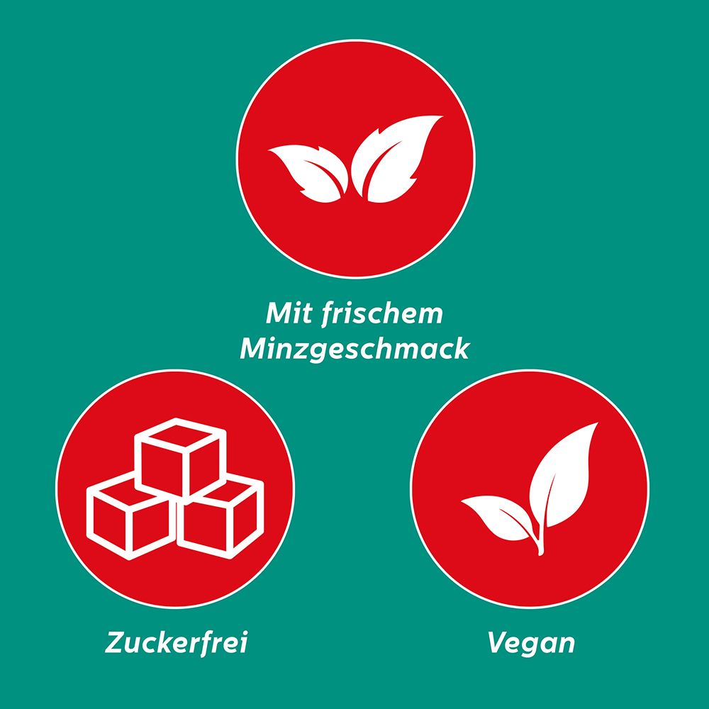Rote Kreise mit Blättern, Zuckerwürfeln und Blättern. Text: Mit frischem Minzgeschmack, zuckerfrei, vegan.