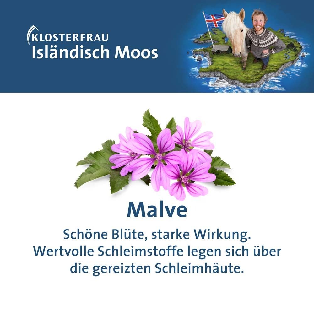 Malve. Bild von Blüten. Text: Schöne Blüten, starke Wirkung. Wertvolle Schleimstoffe.