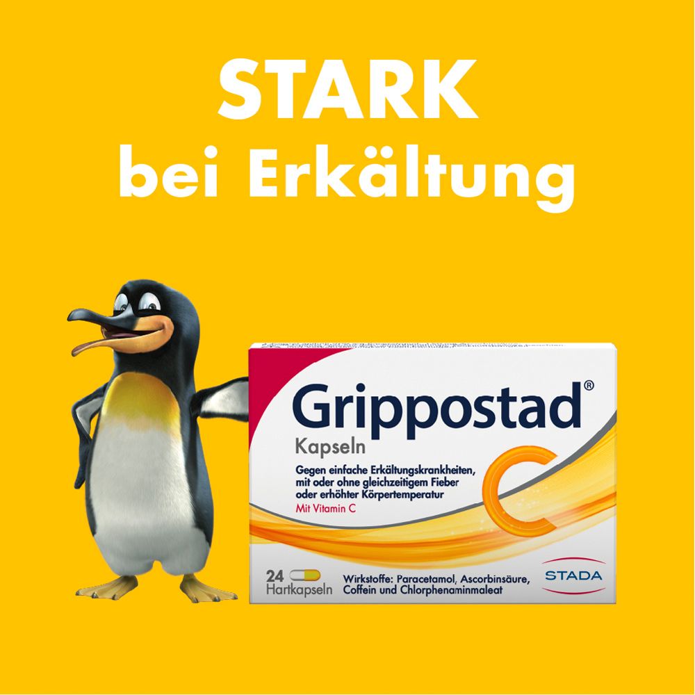 Gelber Hintergrund mit Pinguin und Grippostad® C Kapseln-Packung. Text: Stark bei Erkältung.