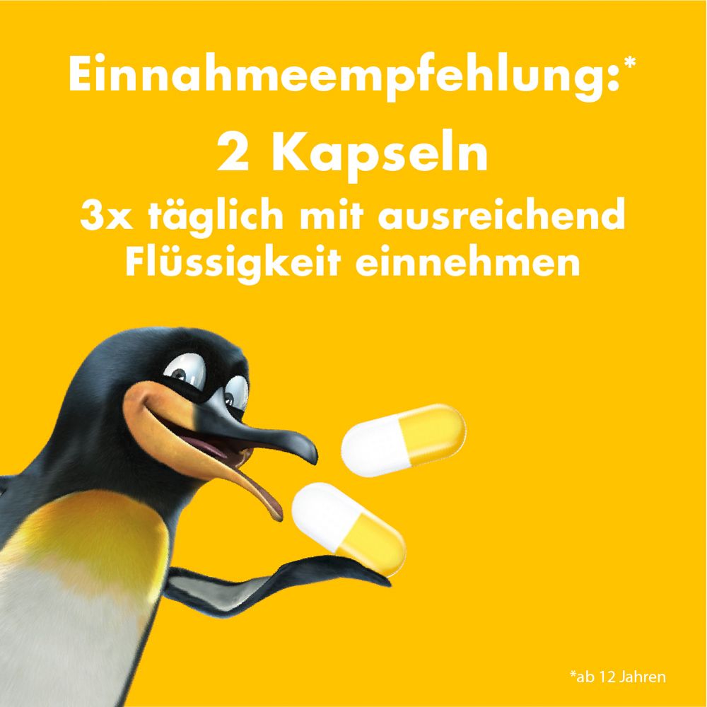 Gelber Hintergrund mit Pinguin und Kapseln. Text: Einnahmeempfehlung: 2 Kapseln, 3x täglich mit Flüssigkeit.