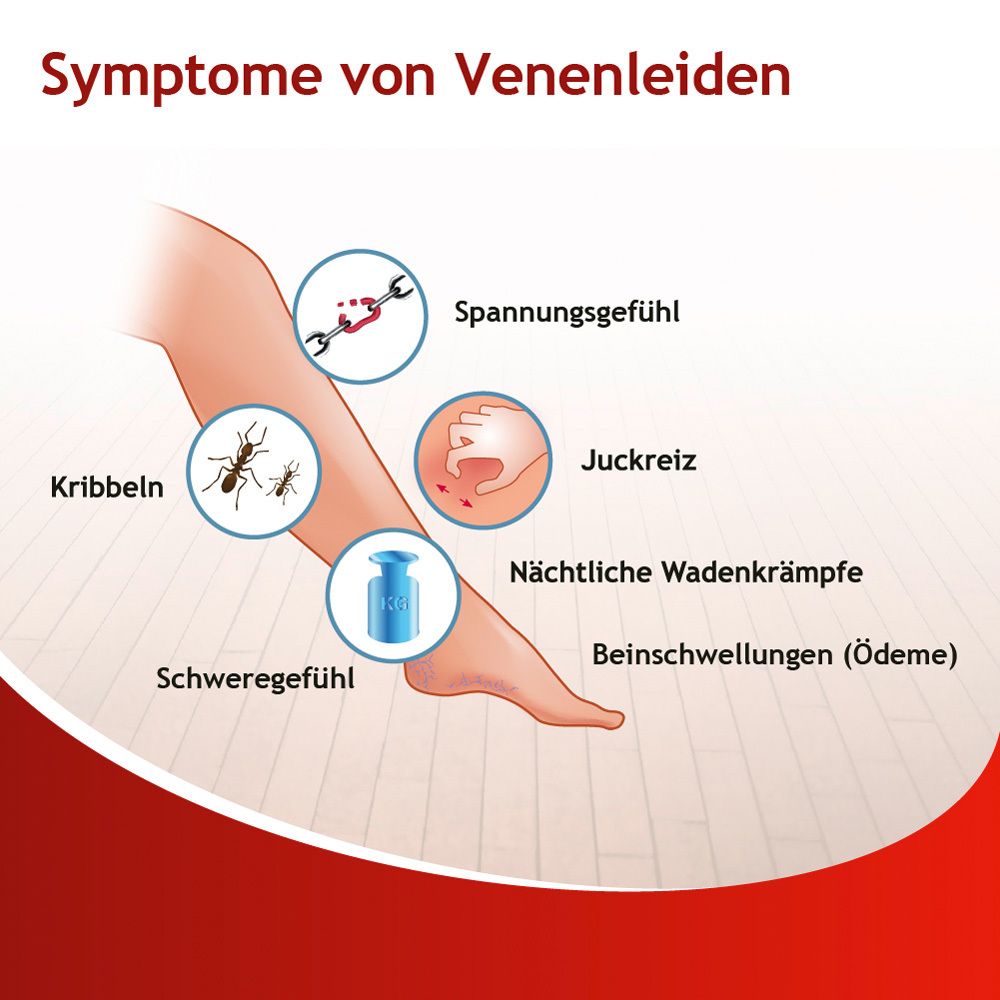 Illustration von Symptomen von Venenleiden: Kribbeln, Schweregefühl, Spannungsgefühl, Juckreiz, nächtliche Wadenkrämpfe, Beinschwellungen.