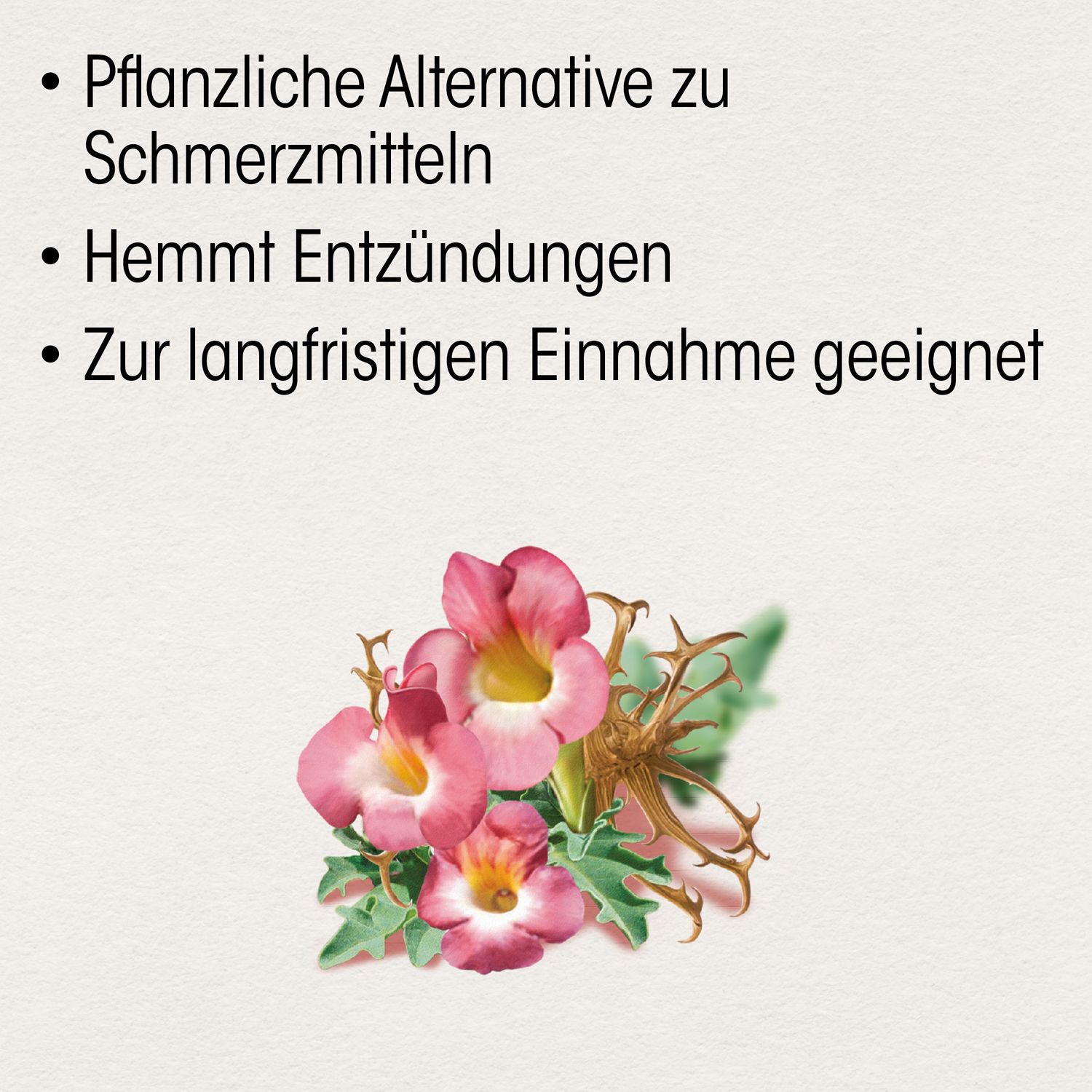 Illustration mit Blüten. Text: Pflanzliche Alternative, hemmt Entzündungen, zur langfristigen Einnahme geeignet.