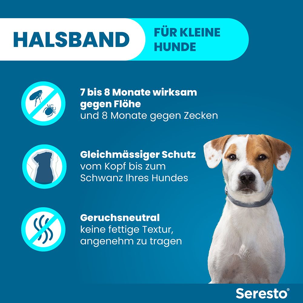 Blaues Bild mit Hund und Seresto Halsband. Zeigt Schutz vor Flöhen und Zecken, geruchsneutral und angenehm zu tragen.