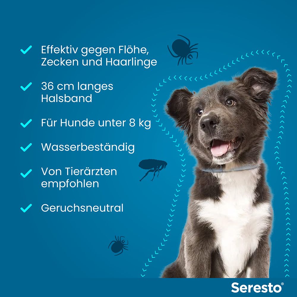 Blaues Bild mit Hund und Seresto Halsband. Zeigt Schutz vor Flöhen, Zecken und Haarlingen, wasserbeständig und geruchsneutral.