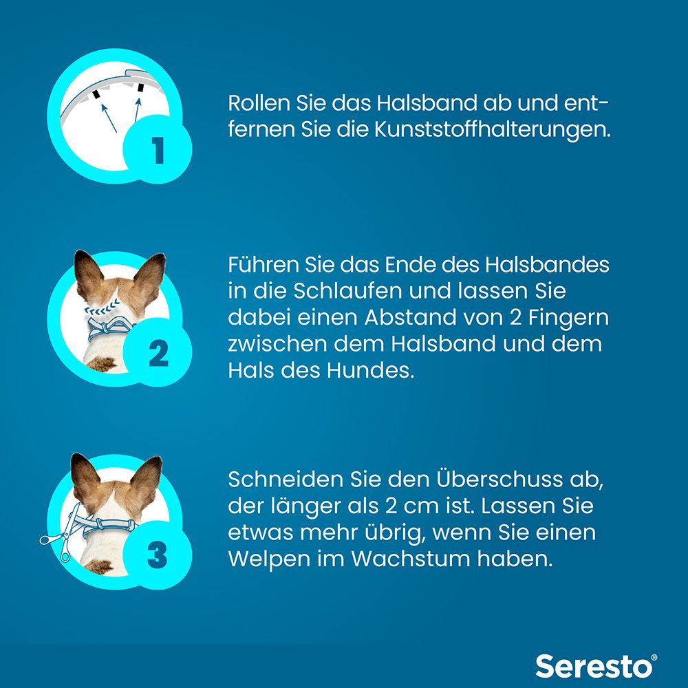 Anleitung zur Anwendung des Seresto Halsbands. Schritt 1-3: Abrollen, Halterungen entfernen, anpassen und abschneiden.