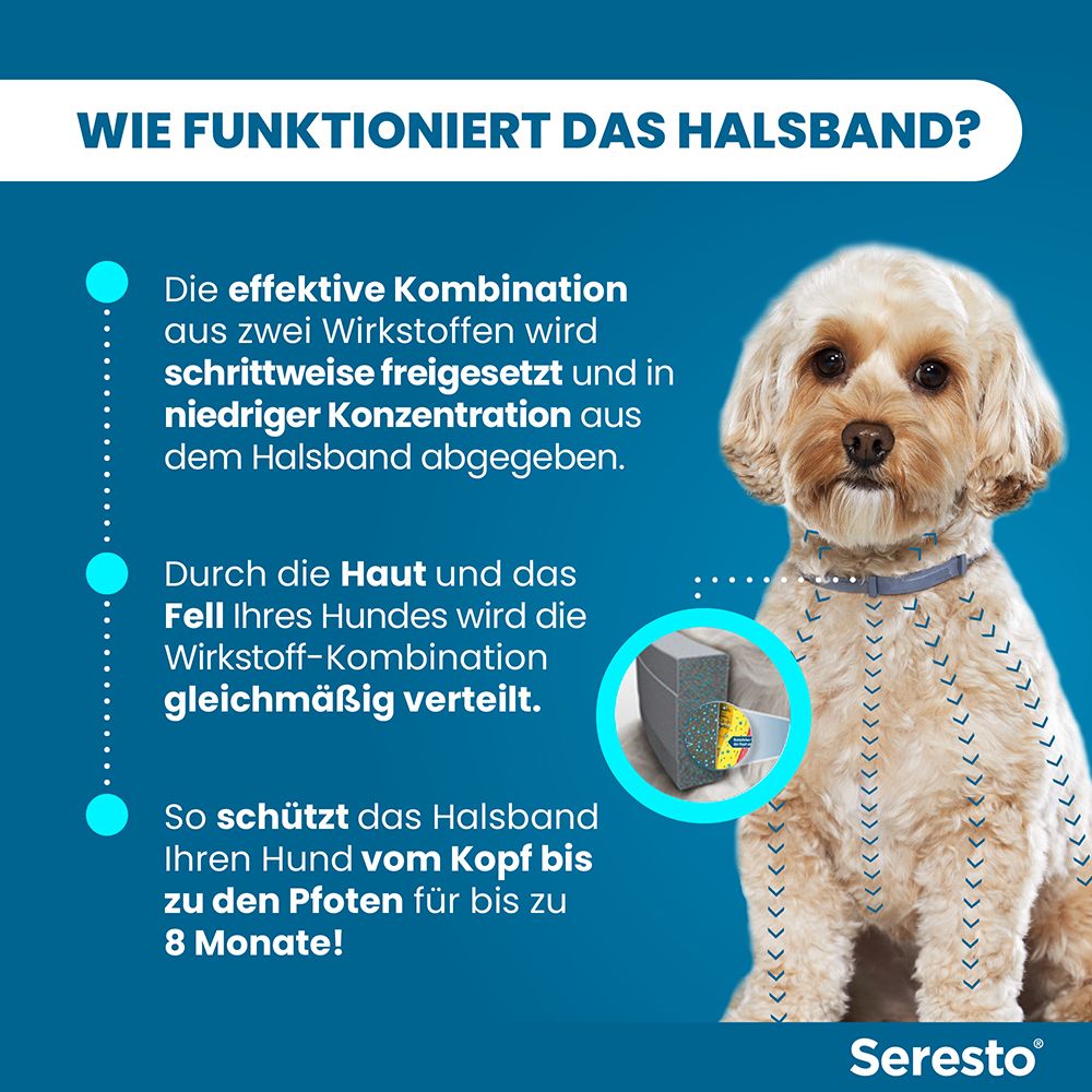 Wie das Seresto Halsband funktioniert. Wirkstoffe werden schrittweise freigesetzt und gleichmäßig verteilt.