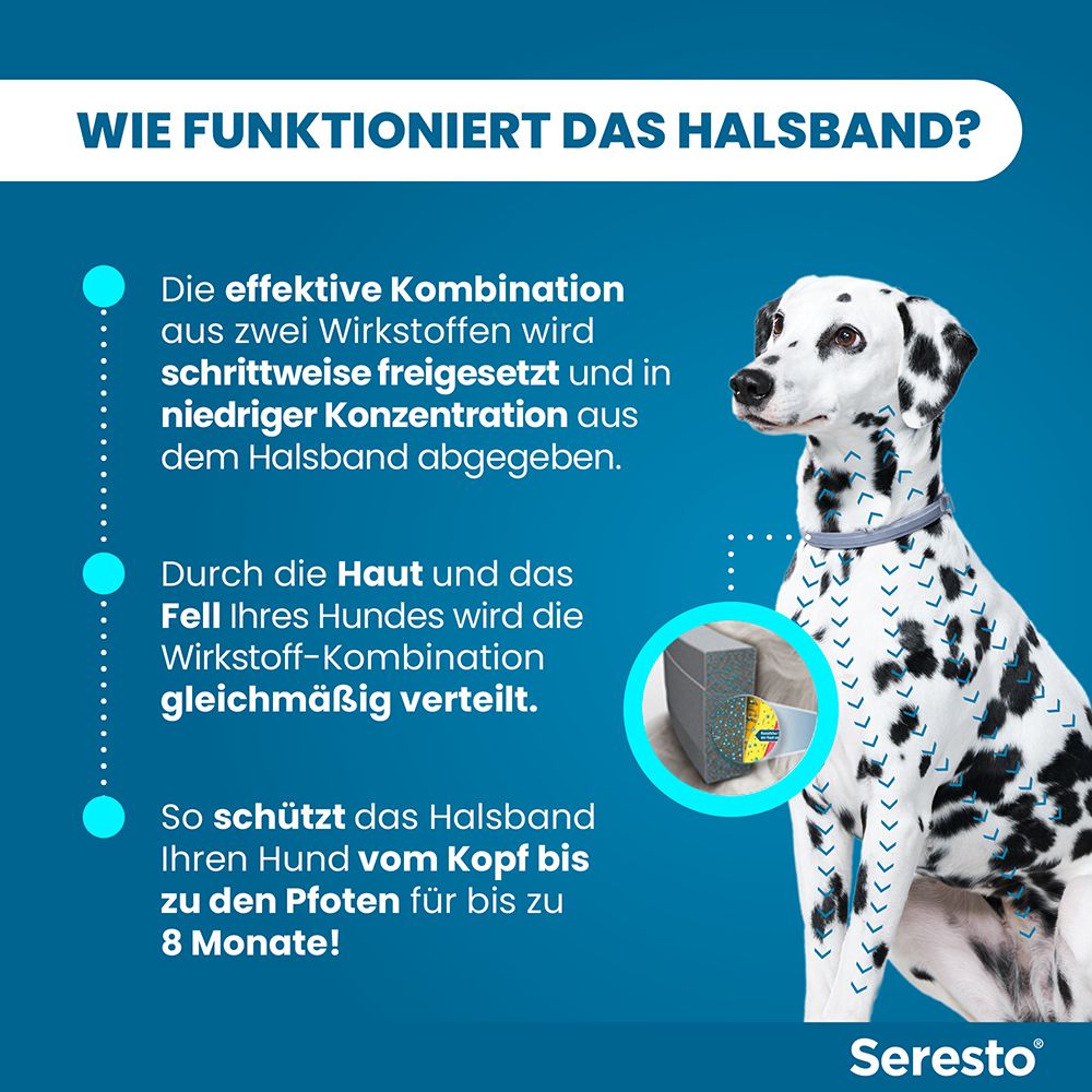 Wie das Halsband funktioniert. Text: Wirkstoff-Kombination wird freigesetzt. Schützt den Hund bis zu 8 Monate.