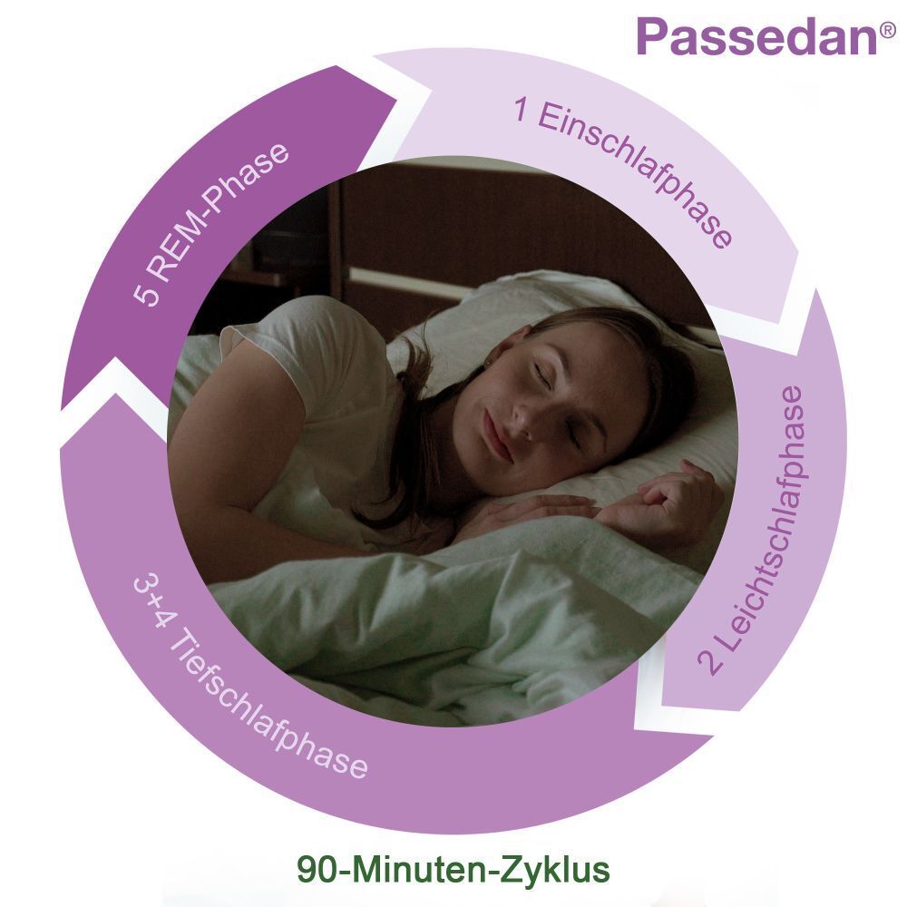 Grafik einer Frau im Bett. Kreisförmige Darstellung der Schlafphasen. Text: 90-Minuten-Zyklus.