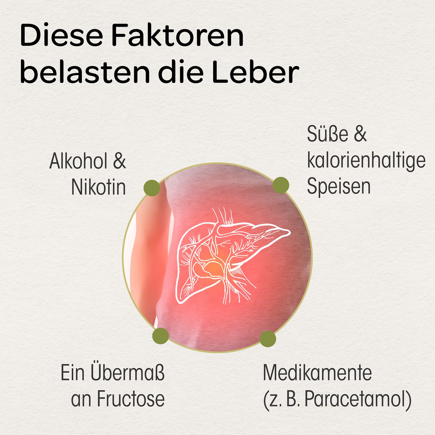 Grafik mit Faktoren, die die Leber belasten: Alkohol, Nikotin, süße Speisen, Medikamente, Fructose.