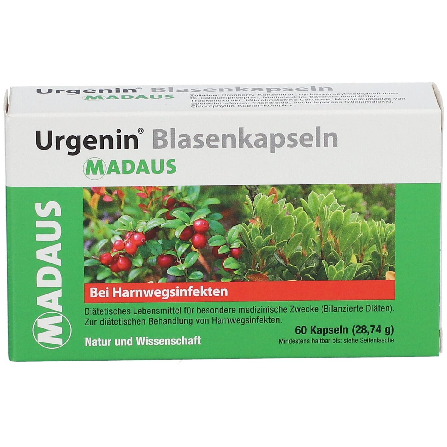 Urgenin® Blasenkapseln Verpackung. Vorderansicht mit Produktnamen, Logo und Abbildung von Pflanzen. Weißer Karton.