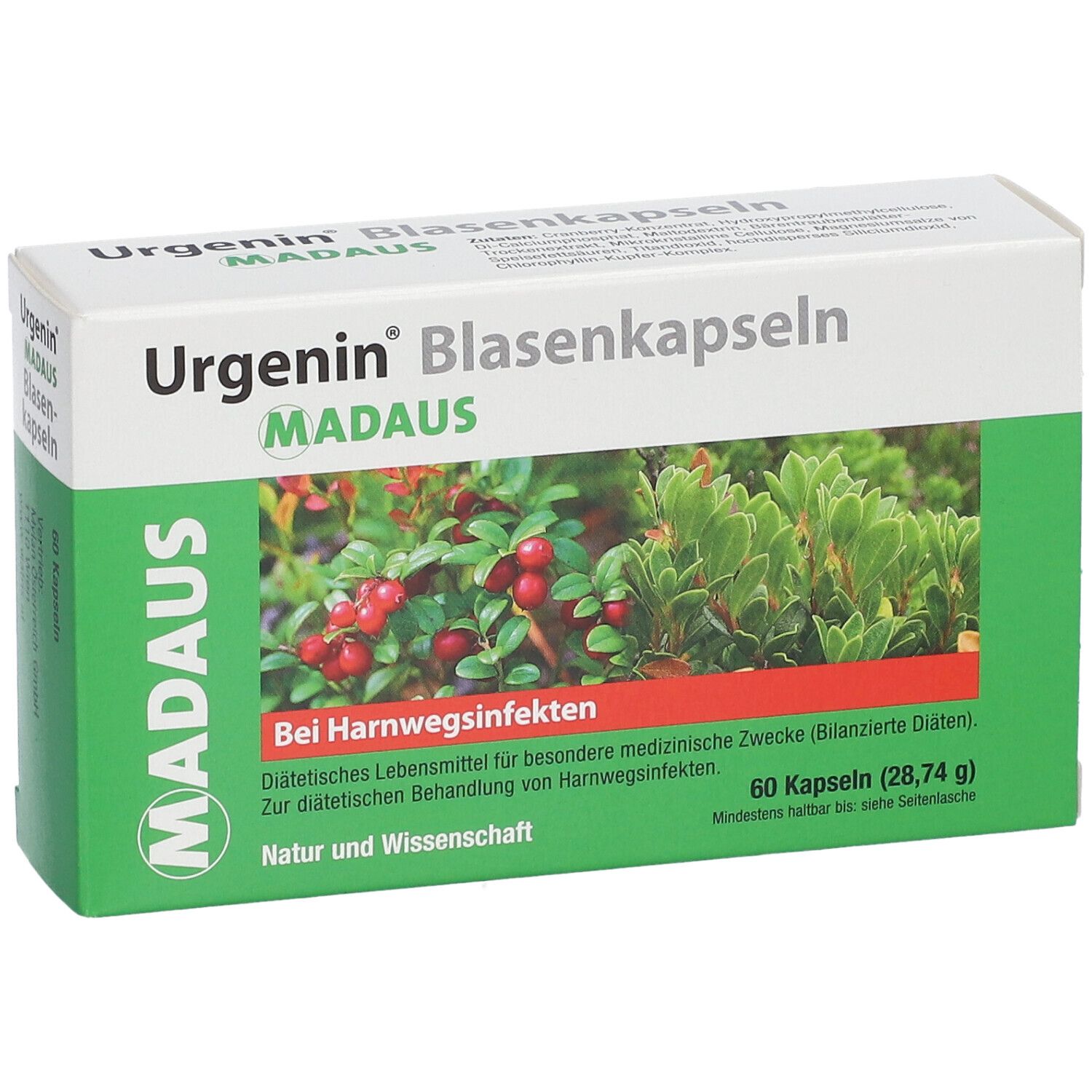 Urgenin® Blasenkapseln Verpackung. Vorderansicht mit Produktnamen, Logo und Abbildung von Pflanzen. Weißer Karton.