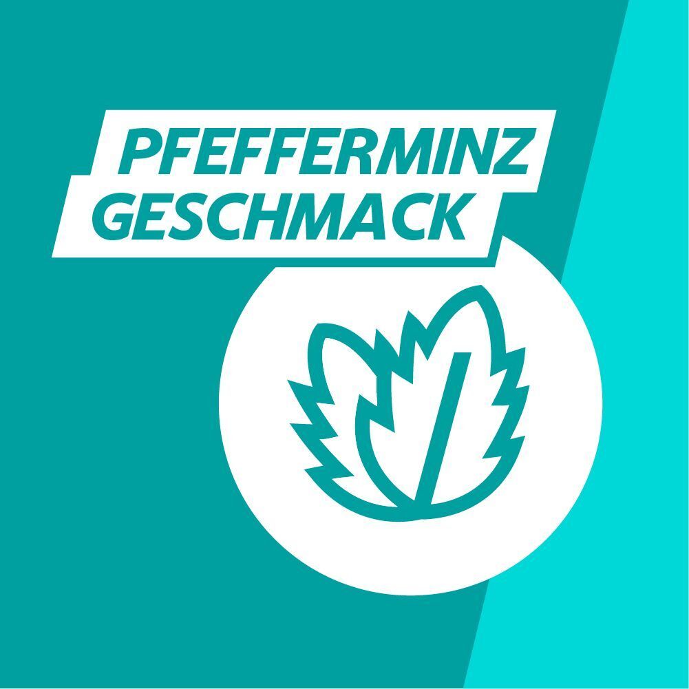 Pfefferminzblätter-Symbol. Text: Pfefferminz Geschmack. Türkisfarbener Hintergrund.