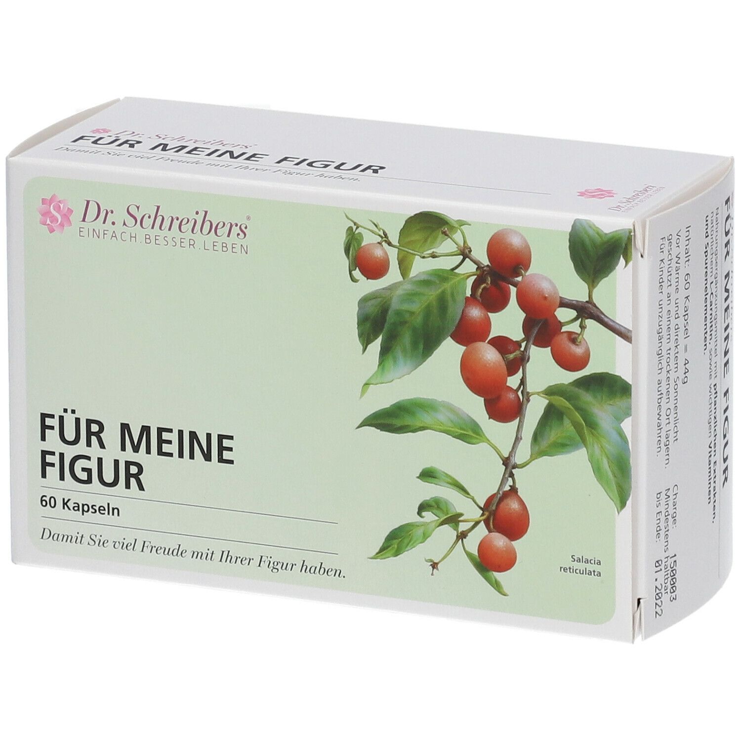 Schachtel mit "Für Meine Figur" und "60 Kapseln". Abbildung von Früchten und Blättern. Marke: Dr. Schreibers.