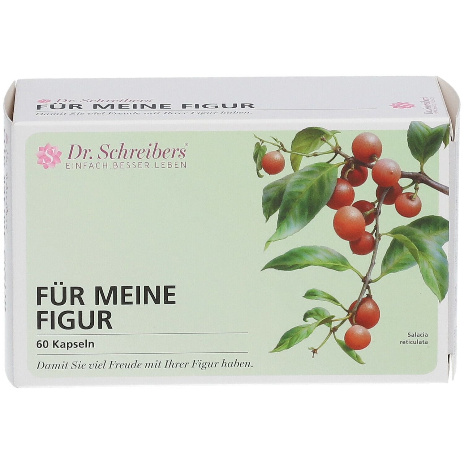 Schachtel "Für Meine Figur" mit 60 Kapseln. Marke: Dr. Schreibers. Abbildung von Früchten und Blättern.