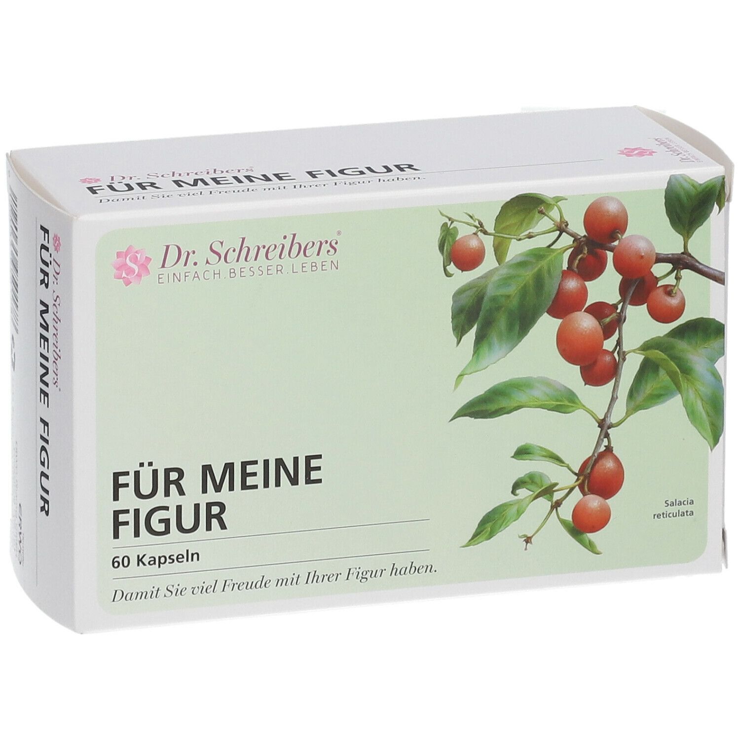 Schachtel "Für Meine Figur" mit 60 Kapseln. Marke: Dr. Schreibers. Abbildung von Früchten und Blättern.