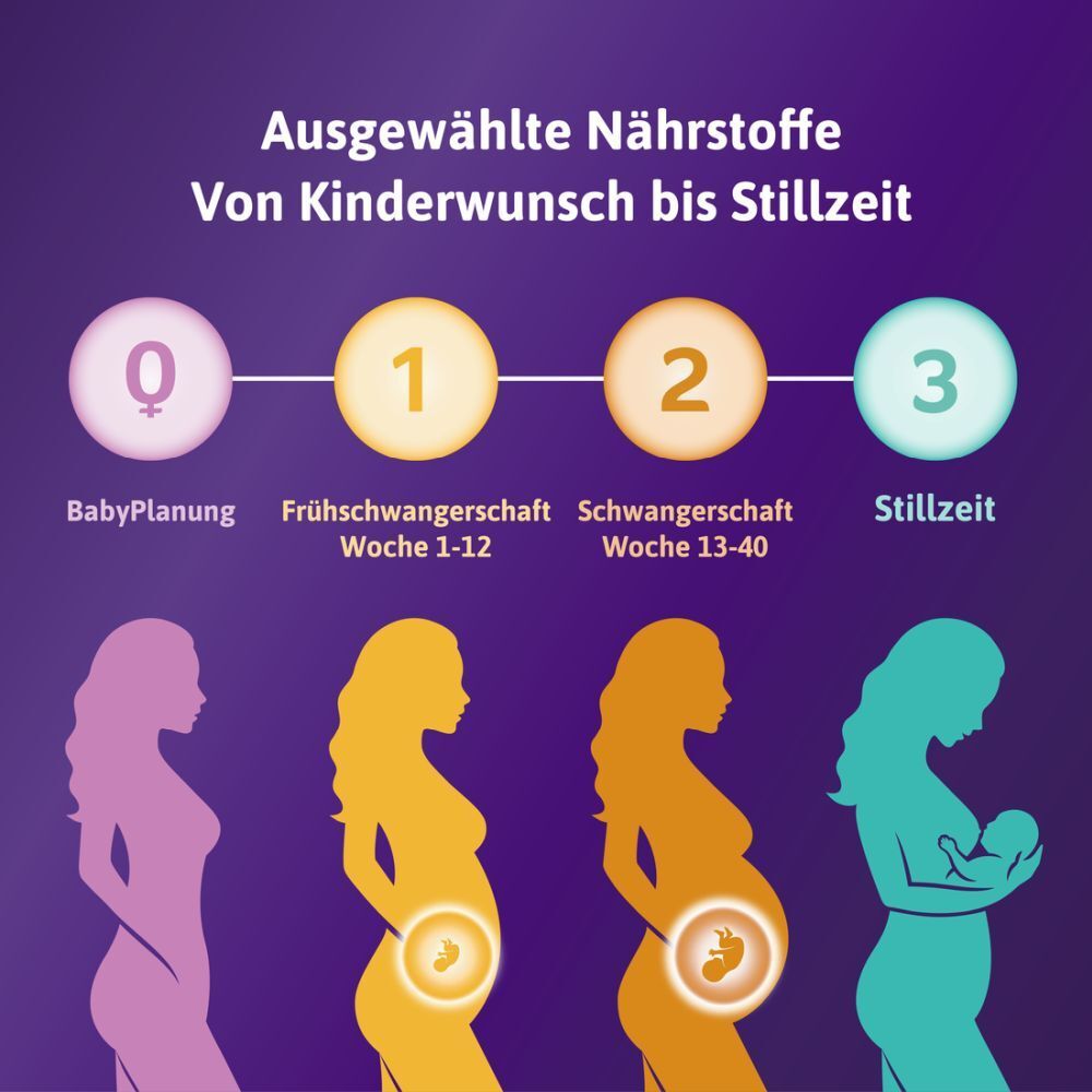 Grafik: Phasen von Kinderwunsch bis Stillzeit. BabyPlanung, Frühschwangerschaft, Schwangerschaft, Stillzeit.