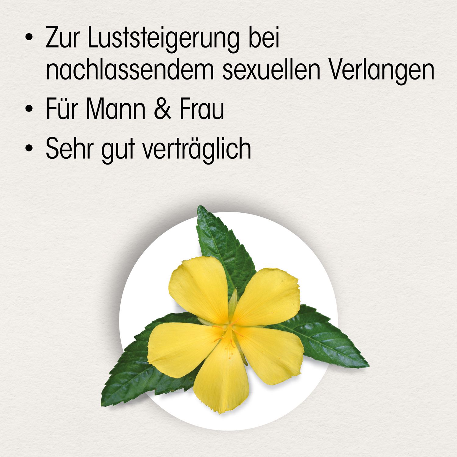 Gelbe Blume mit grünen Blättern auf weißem Hintergrund. Text: Zur Luststeigerung, für Mann & Frau, sehr gut verträglich.